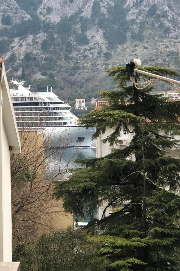 Unico Apartman Kotor Buitenkant foto