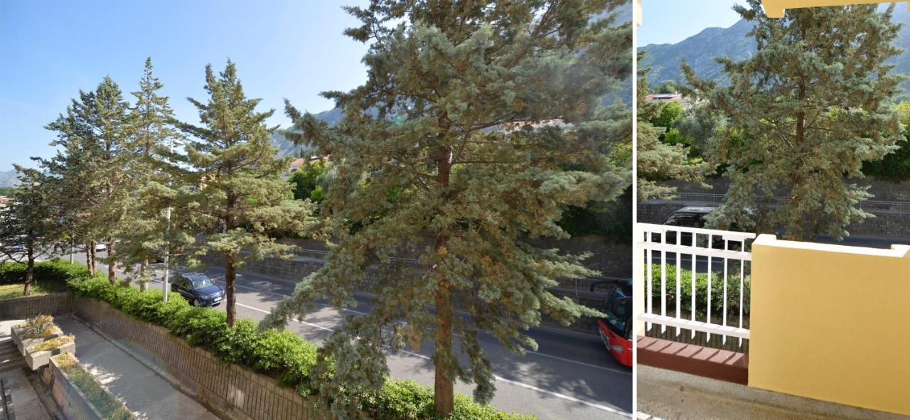 Unico Apartman Kotor Buitenkant foto